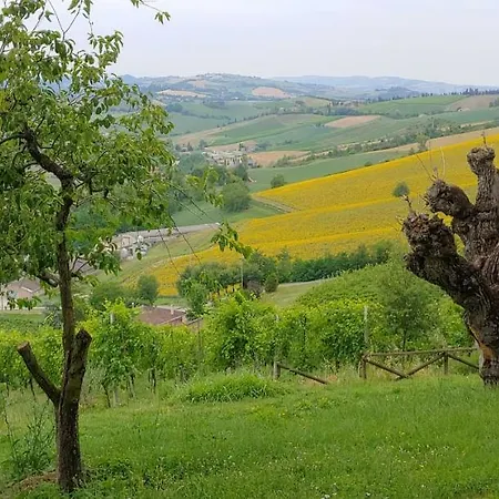 Casa Ca' Driano Monteveglio