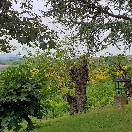 Casa Ca' Driano 度假居 *