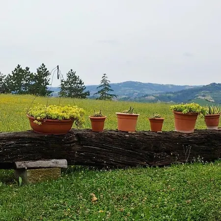 Casa Ca' Driano